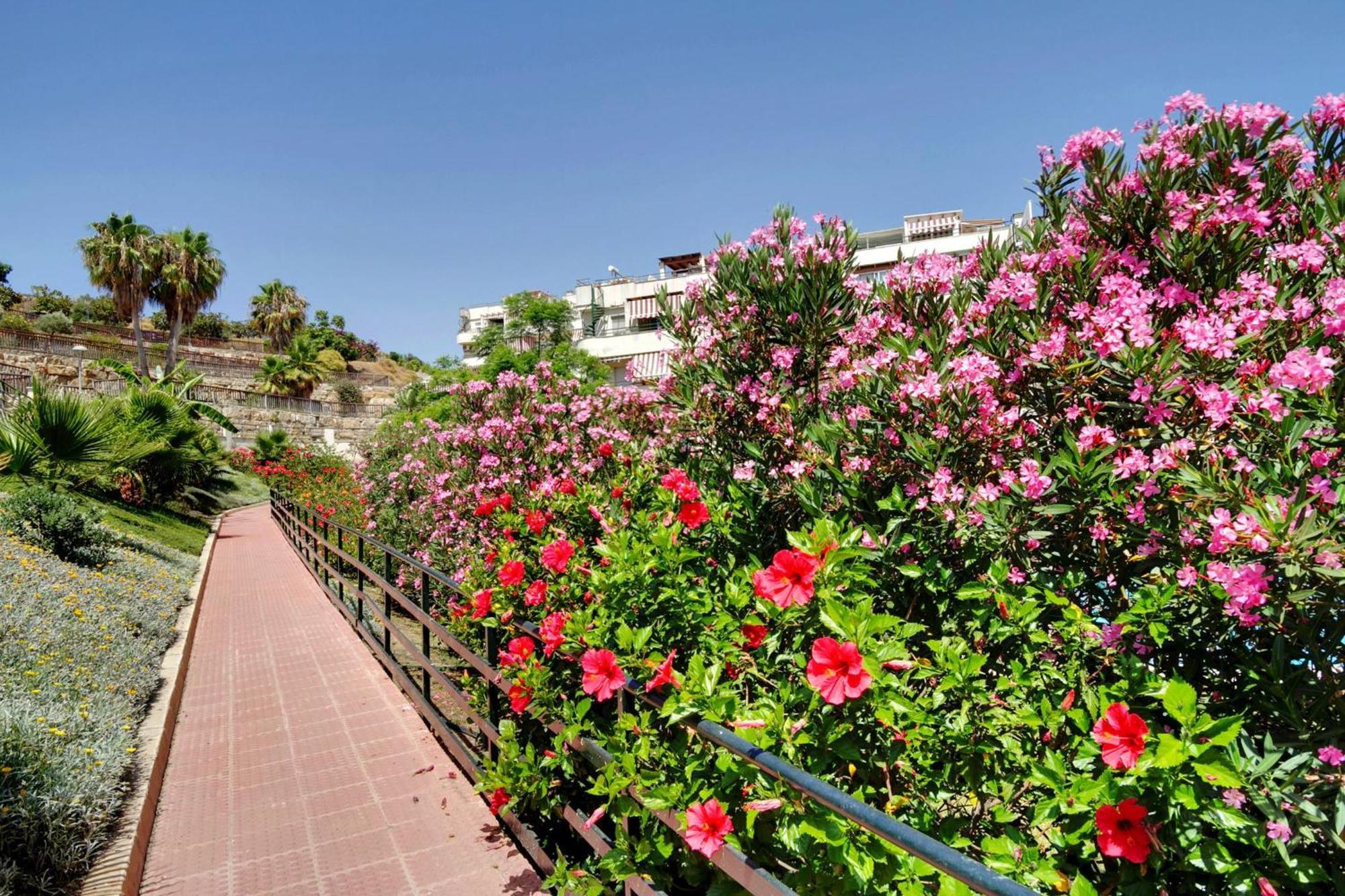 Del Parque Flats - Golf & Beach Terrace Málaga Extérieur photo